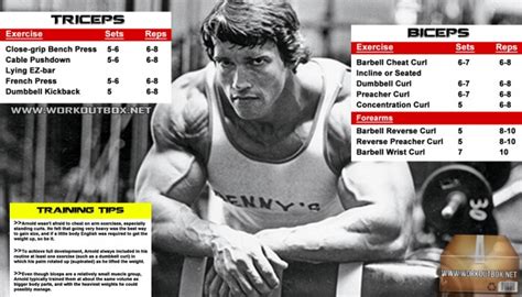 Arnold Biceps And Triceps Workout Routine - Schwarzenegger Plan - FITNESS HASHTAG - Best Fitness ...