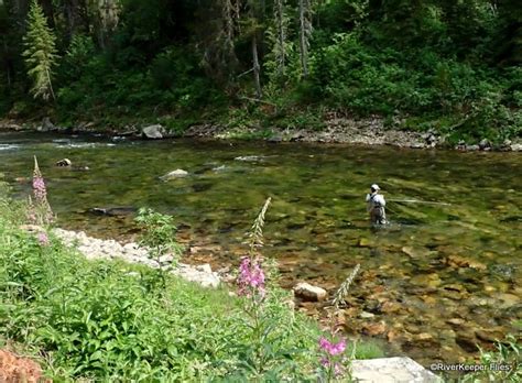 Fly Fishing the St. Joe River ID - RiverKeeper Flies