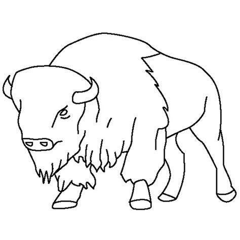 Bison Coloring Pages