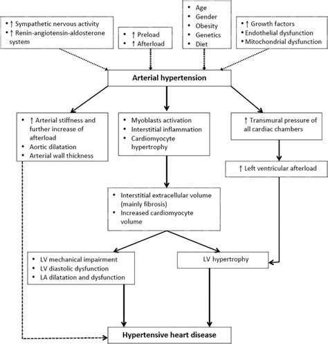 Mechanisms of hypertensive heart disease. LA, left atrium; LV, left... | Download Scientific Diagram