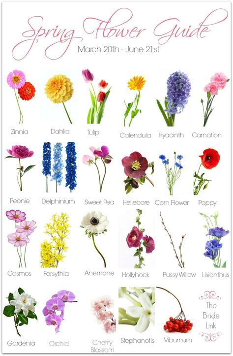 40 Flower images with names ideas | flower images with name, flower chart, flower names