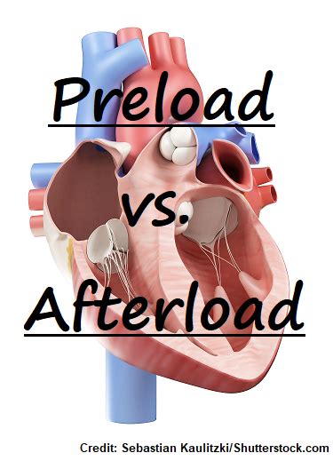 Preload vs Afterload Heart Nursing Quiz