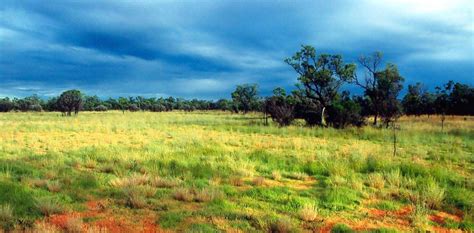 Grassland Meaning