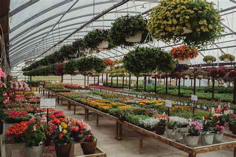 Keil's Produce and Greenhouse - Toledo Annual & Perennial Flowers