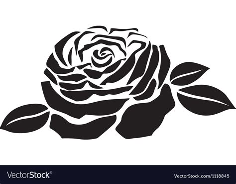 Rose flower Royalty Free Vector Image - VectorStock