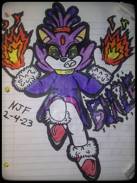 Blaze the cat fan art by gamernate96 on DeviantArt