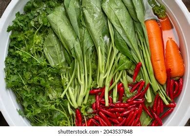 948 Clean Vegetables With Vinegar Images, Stock Photos & Vectors | Shutterstock