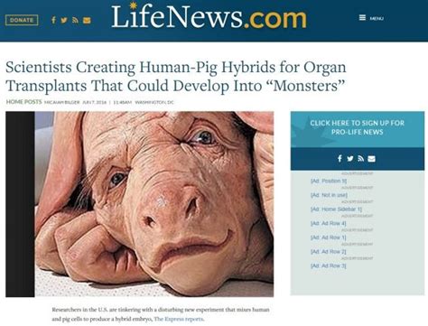 Hybrid Pig-Men! Nostradamus Saw an Event at the Time of Nibiru that Just Came True… — Steemit