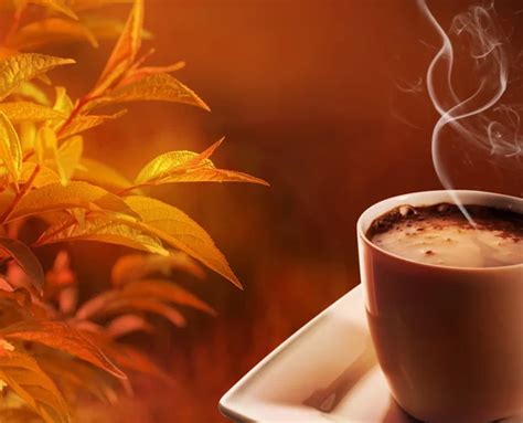 Autumn morning coffee — Stock Photo © almatea #6279794