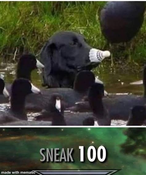 The best Sneak memes :) Memedroid