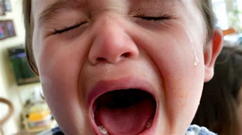 Tantrums: What Are the Tantrum Types & How Do We Deal With Them? | Mom.com