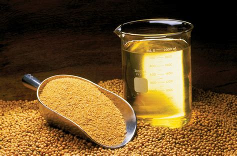 FDA: Soybean oil can now tout heart health benefits | AGDAILY