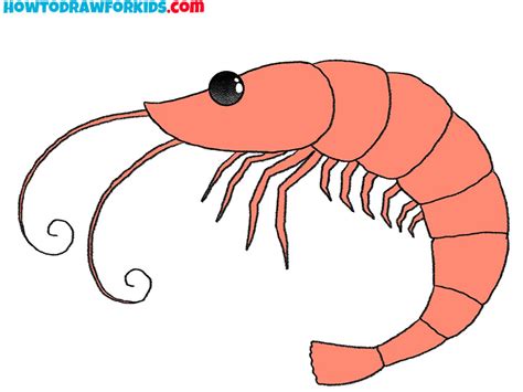 How to Draw a Shrimp - Easy Drawing Tutorial For Kids