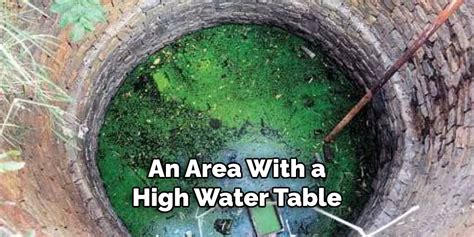 How to Fix High Water Table Under House | 10 Effective Methods