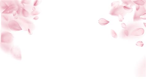 Cherry Blossoms Falling Light Effect Border, Cherry Blossoms, Light Effect, Pink PNG Transparent ...