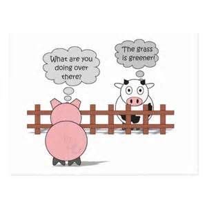 Funny Pig Quotes Sayings - ShortQuotes.cc