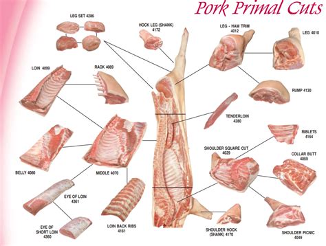 Butcher Pork Cuts Diagram