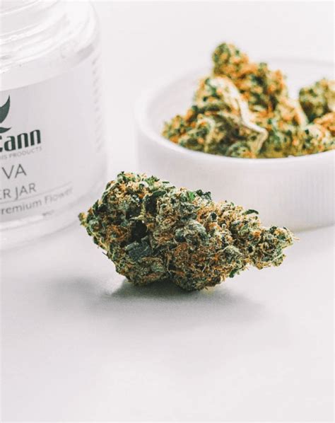 Premium All-Natural Cannabis Products | VidaCann