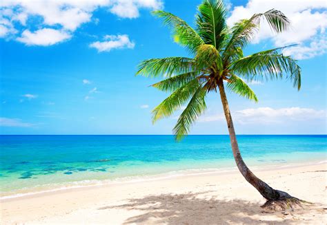 Tropical Beach Wallpapers