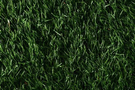 A close up of a green grass texture photo – Green Image on Unsplash