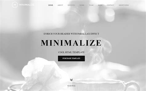 Download the Best Minimalist Website Templates from Here