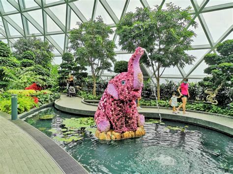 Singapore Jewel Changi Airport Canopy Park Ticket And, 42% OFF