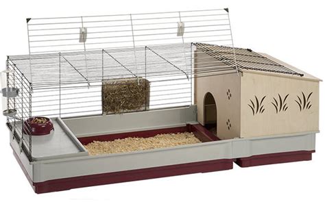 Guinea Pig Cage Size Guide - The Best Homes For Guinea Pigs