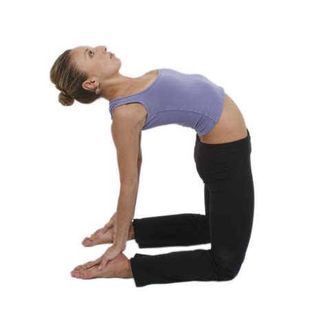 Free photo: Yoga Pose - Body, Cartoon, Clipart - Free Download - Jooinn