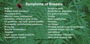 Babesia Treatment | Madison Area Lyme Support Group