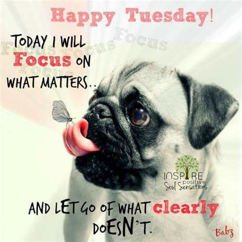 215 best Tuesday Humor images on Pinterest | Happy tuesday, Tuesday greetings and Happiness