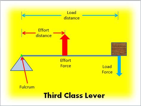 6.3 - Levers - Physical Science