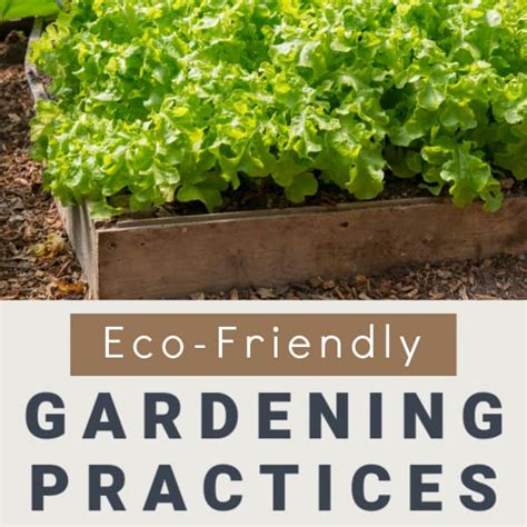 ECO-FRIENDLY GARDENING PRACTICES - Mommy Moment