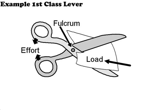 First Class Lever Examples