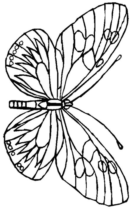 Butterfly Coloring Pages