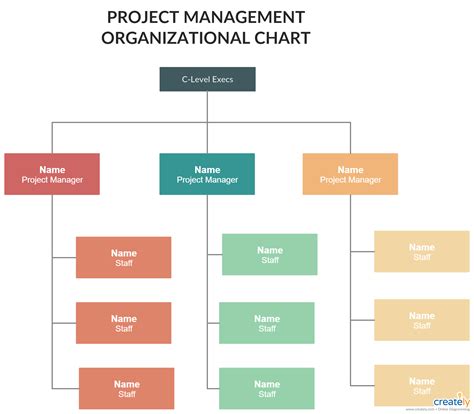 Project Management Organizational Structures - You can edit this template and create your own ...