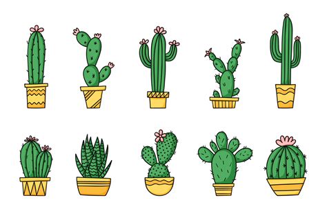 Set cute cartoon cactus and succulents in pots. Isolated vector illustration on white background ...