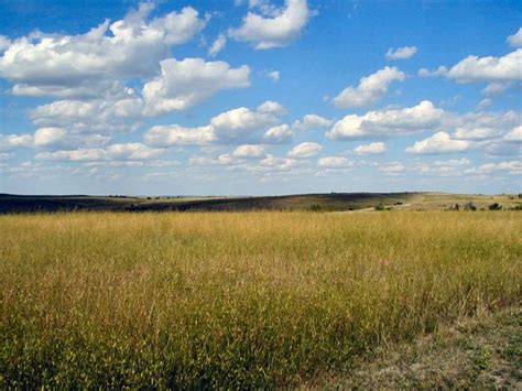 Climate - Grassland Safari