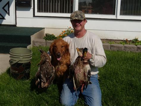 guided South Dakota pheasant hunting - D & S Campground Lodge & Storage