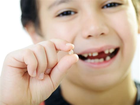 When Do My Child’s Teeth Start to Fall Out? - Junior Smiles Children's Dentistry®