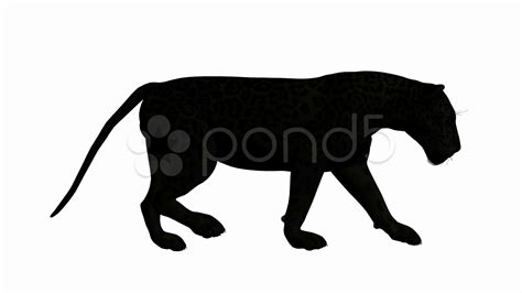 Jaguar Silhouette at GetDrawings | Free download