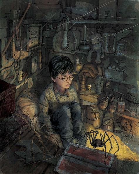 Harry Potter 1 Illustrated Edition - The Awesomer