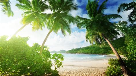 4K Tropical Wallpapers - Top Free 4K Tropical Backgrounds - WallpaperAccess