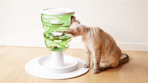 The 11 Best Cat Puzzle Toys To Challenge and Engage Your Kitty