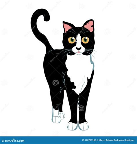 Cartoon Black Cat | CartoonDealer.com #38061015