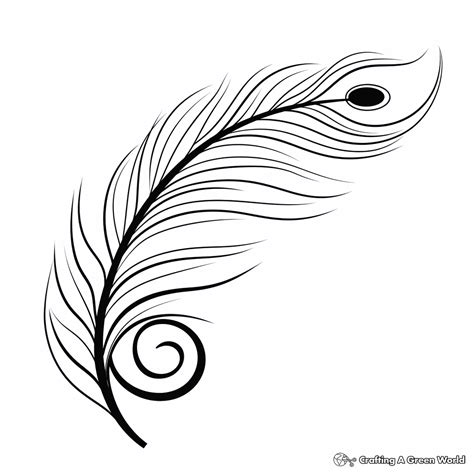 Peacock Feather Coloring Pages - Free & Printable!