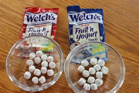 Welch's Fruit Snacks - Central Minnesota Mom