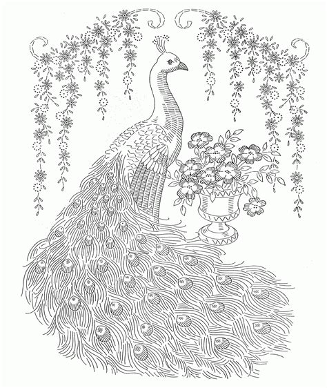 Realistic Peacock Coloring Pages