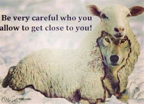 Wolf And Sheep Quotes. QuotesGram