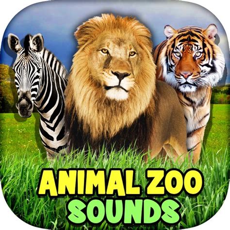 Animal Zoo - Sounds For Kids by Samir Panchal