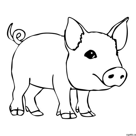 Pig Cartoon Drawing in 4 Steps With Photoshop